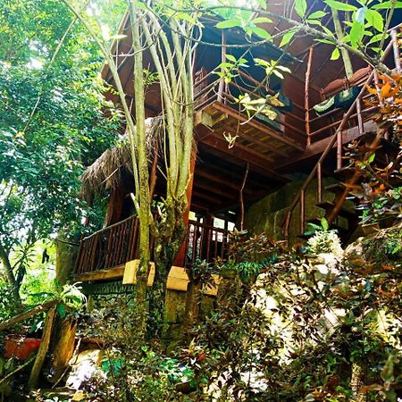 Jungle Face Inn Ella Ngoại thất bức ảnh