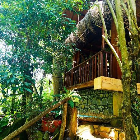 Jungle Face Inn Ella Ngoại thất bức ảnh