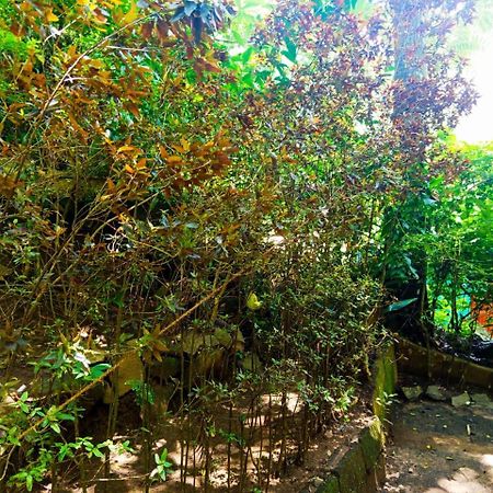 Jungle Face Inn Ella Ngoại thất bức ảnh