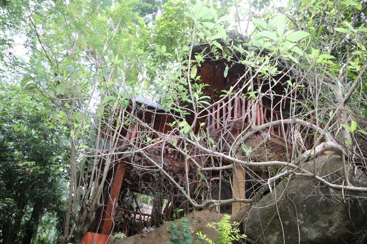 Jungle Face Inn Ella Ngoại thất bức ảnh