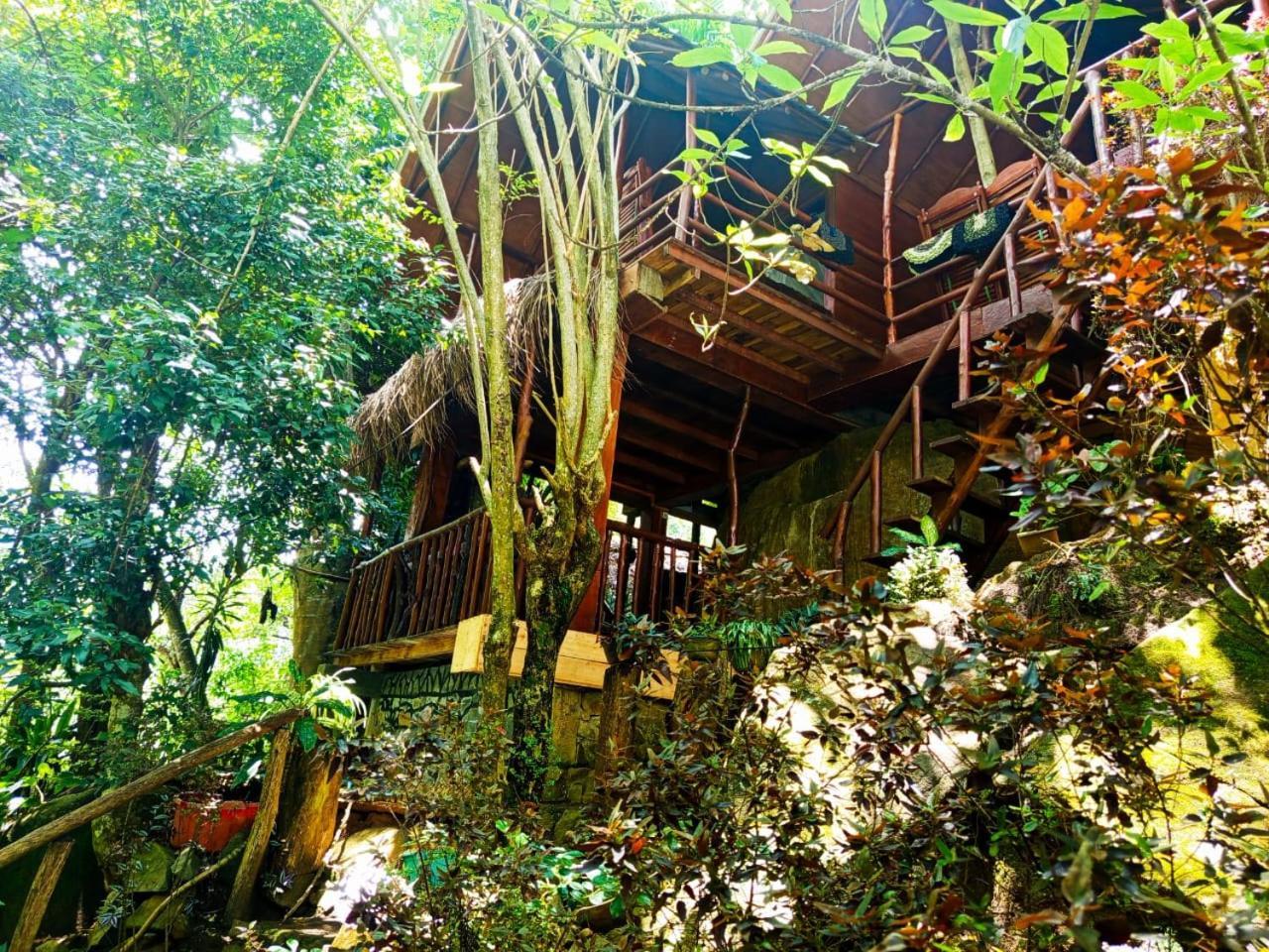 Jungle Face Inn Ella Ngoại thất bức ảnh