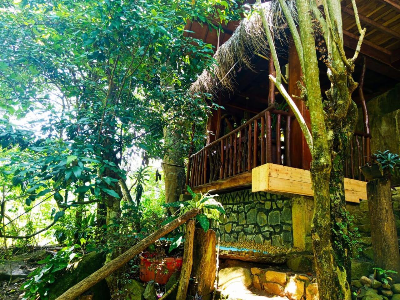 Jungle Face Inn Ella Ngoại thất bức ảnh