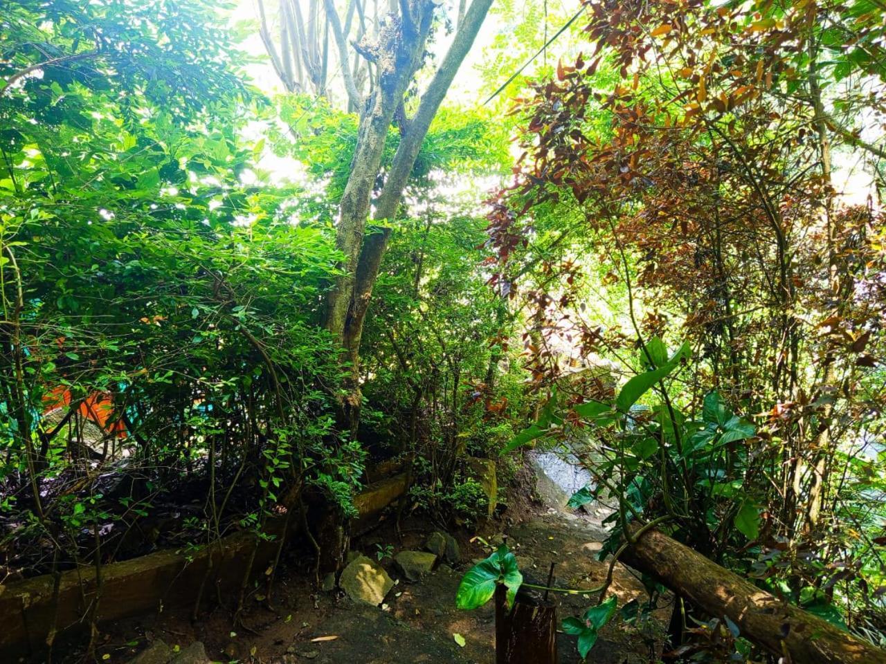 Jungle Face Inn Ella Ngoại thất bức ảnh