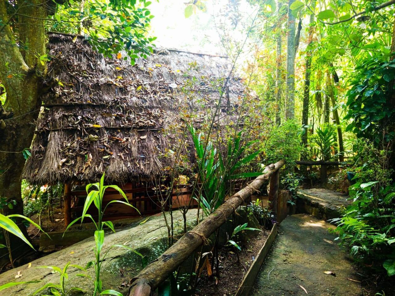 Jungle Face Inn Ella Ngoại thất bức ảnh