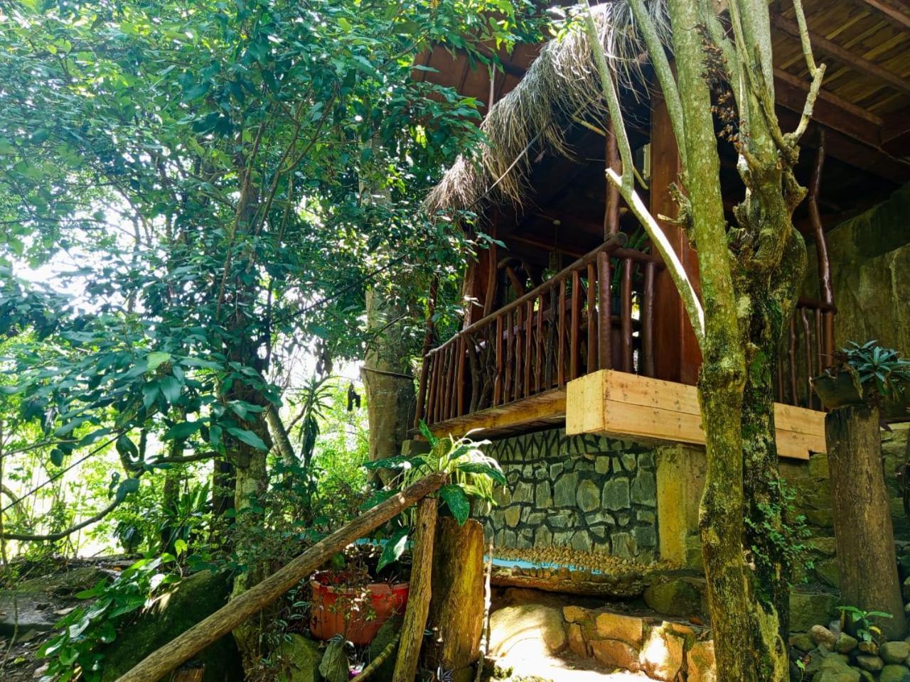 Jungle Face Inn Ella Ngoại thất bức ảnh