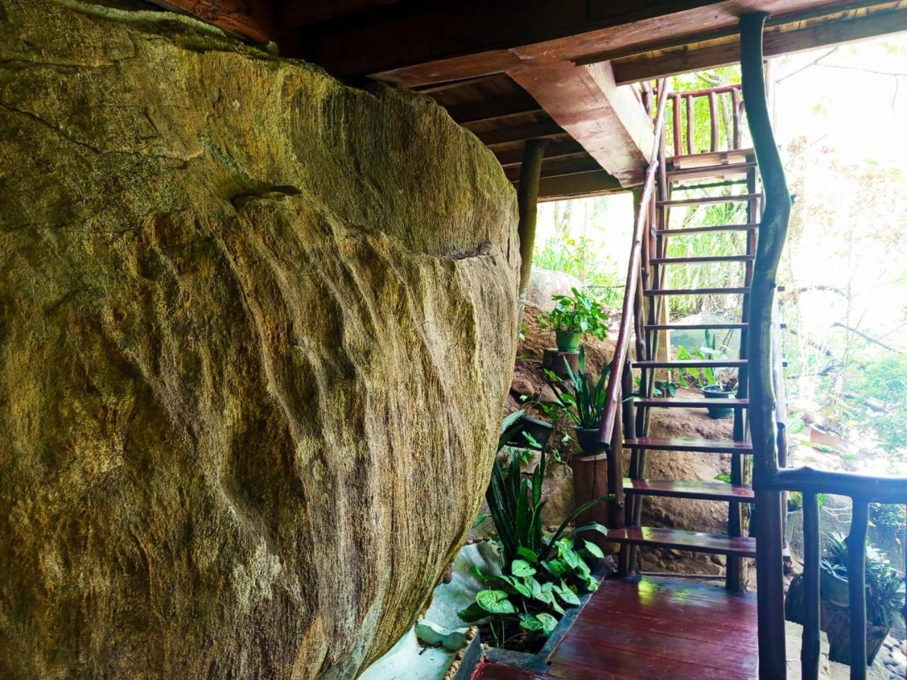 Jungle Face Inn Ella Ngoại thất bức ảnh