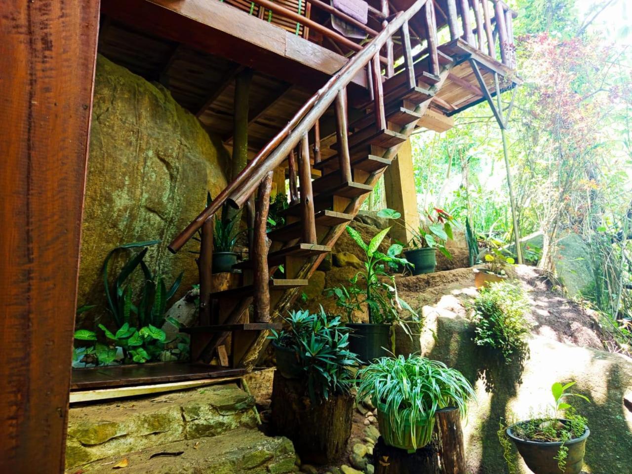 Jungle Face Inn Ella Ngoại thất bức ảnh