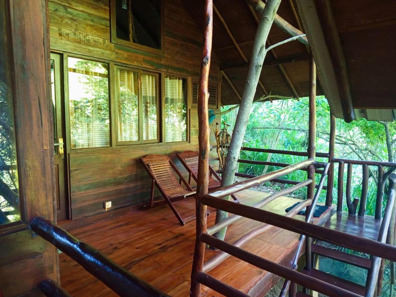 Jungle Face Inn Ella Ngoại thất bức ảnh