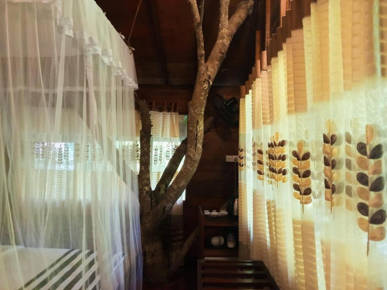 Jungle Face Inn Ella Ngoại thất bức ảnh