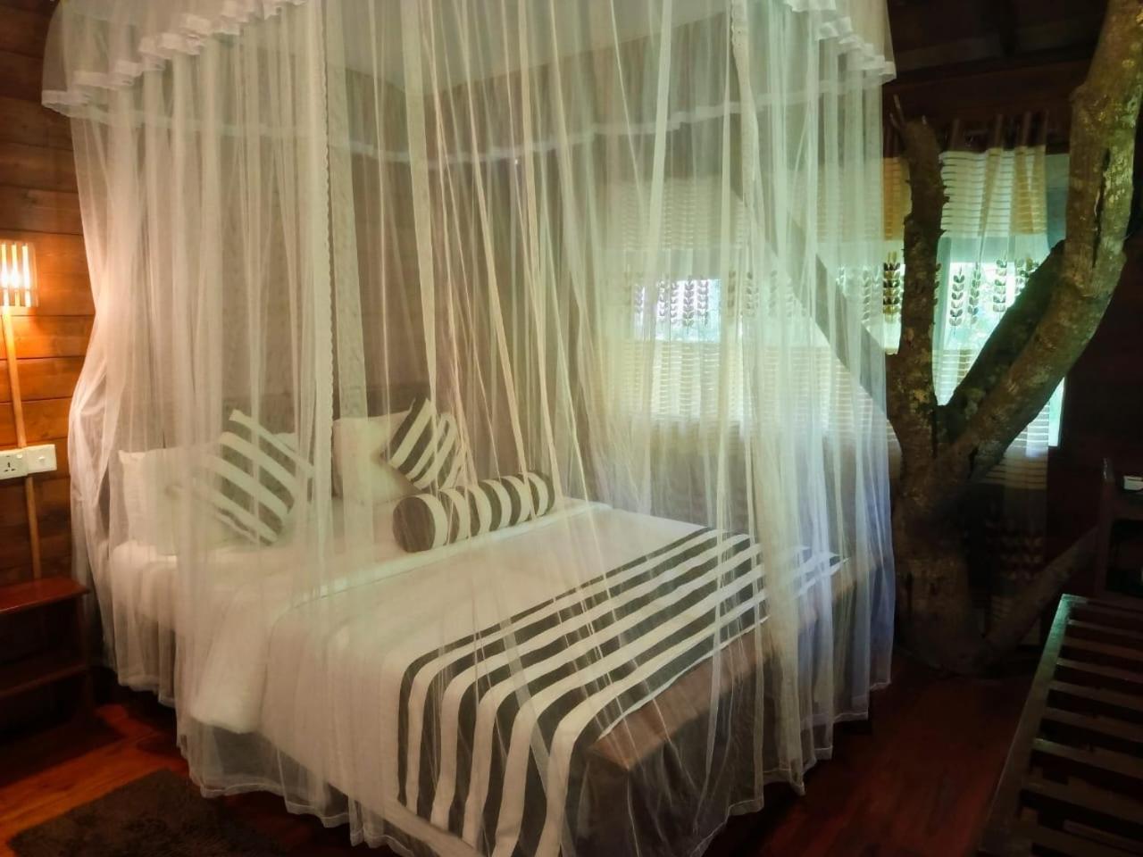 Jungle Face Inn Ella Ngoại thất bức ảnh