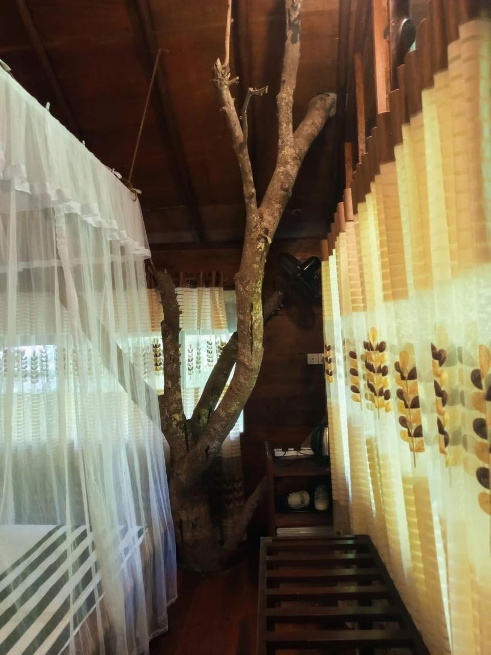 Jungle Face Inn Ella Ngoại thất bức ảnh