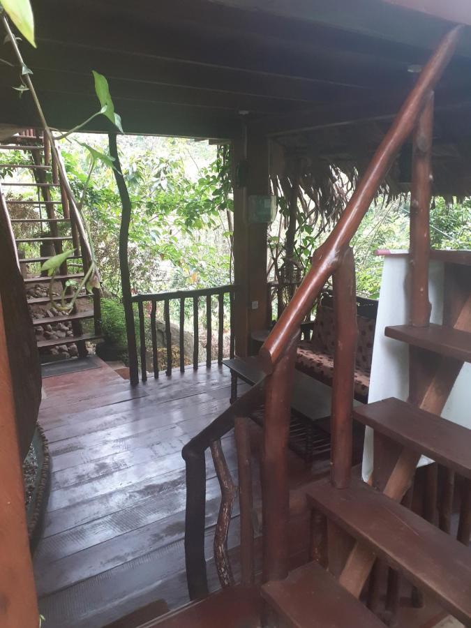 Jungle Face Inn Ella Ngoại thất bức ảnh