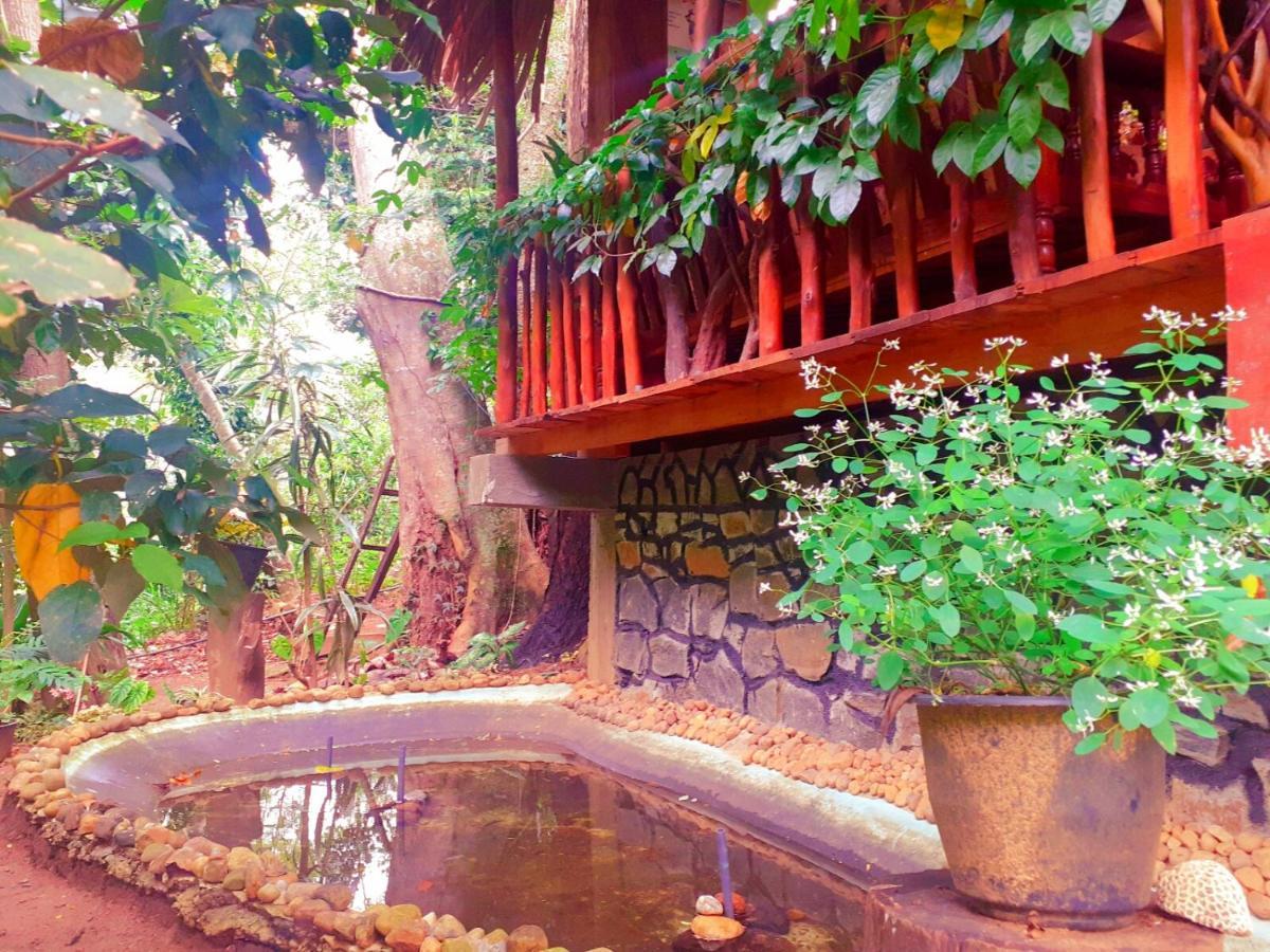 Jungle Face Inn Ella Ngoại thất bức ảnh
